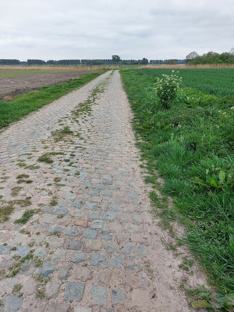 Oude Kerkstraat