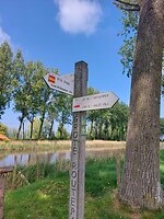 7. keuze genoeg