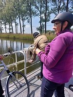 10. naar de overkant