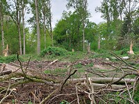 224 stormschade 2