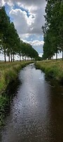 De Biezen
