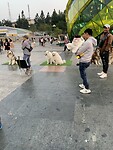 Plein in dalat