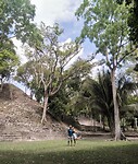 Cahal Pech ruines
