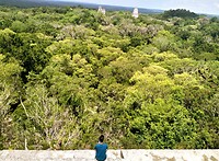 Tikal