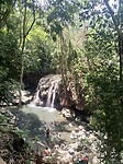 El finca de paraisa