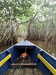 De mangroves van Monterrico