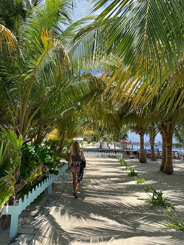 Tropisch Caraïbisch eiland