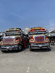 Chicken bussen