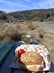 IMG20250408131909