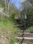 IMG20250411154526