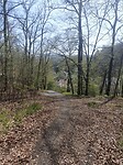 IMG20250411153132