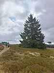 IMG20250413114828