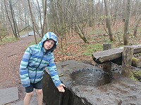 IMG20250413092347