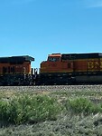 IMG_3220