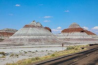 IMG_0388