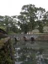 Water, brug en bomen...