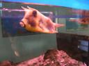 Oceanographic Institute & Museum