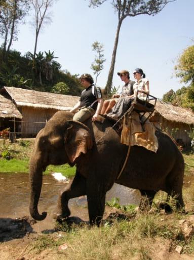 Olifant