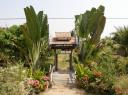 Happy Garden cooking school
