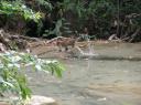 Erawan Waterfalls, wateraap