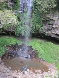 een mooie waterval tijdens een bush wandeling.....wat een kunsten roy!
