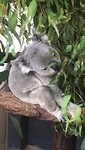 VID-20191110-WA0003