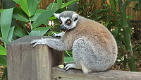 20191116_133638_001