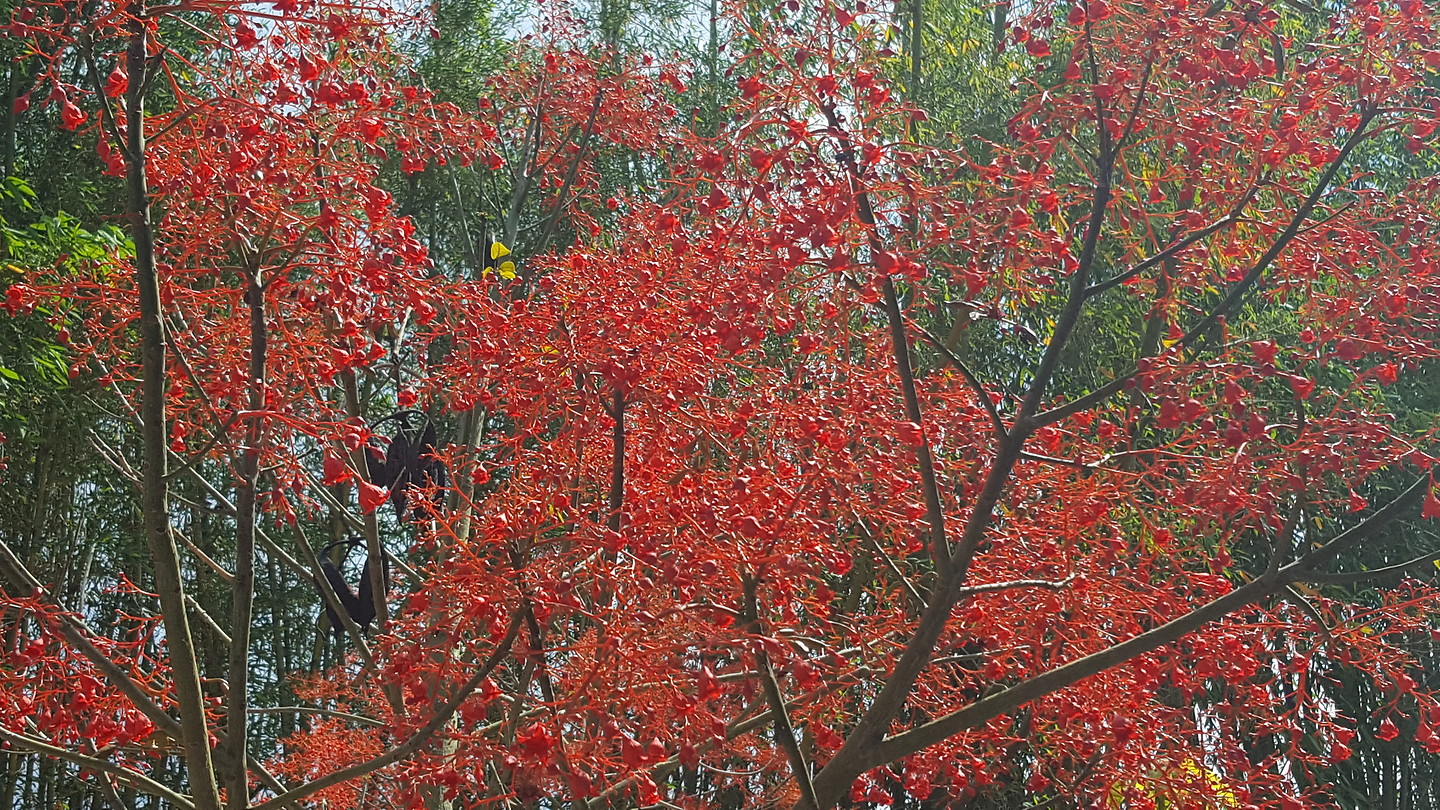 20191116_132659