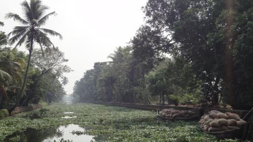 Backwaters