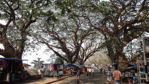 Kochi