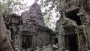 Angkor - Ta Prohm