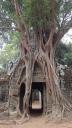 Angkor - Ta Som