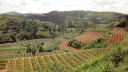 Dalat