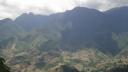 Sapa