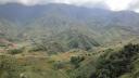 Sapa