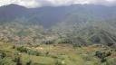 Sapa