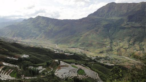 Sapa