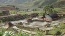 Sapa