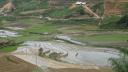 Sapa