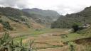 Sapa