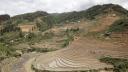 Sapa