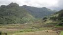 Sapa