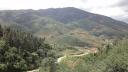 Sapa