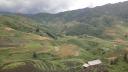 Sapa