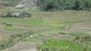 Sapa