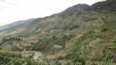 Sapa