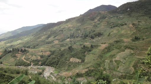 Sapa