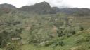 Sapa