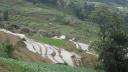 Sapa