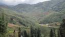 Sapa